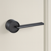 Arden Door Handle