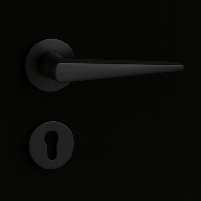 Taren Black Door Handle